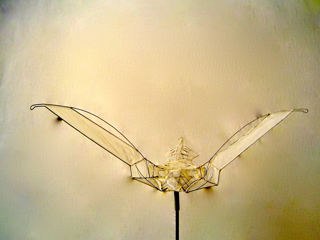 Icarus Icarus